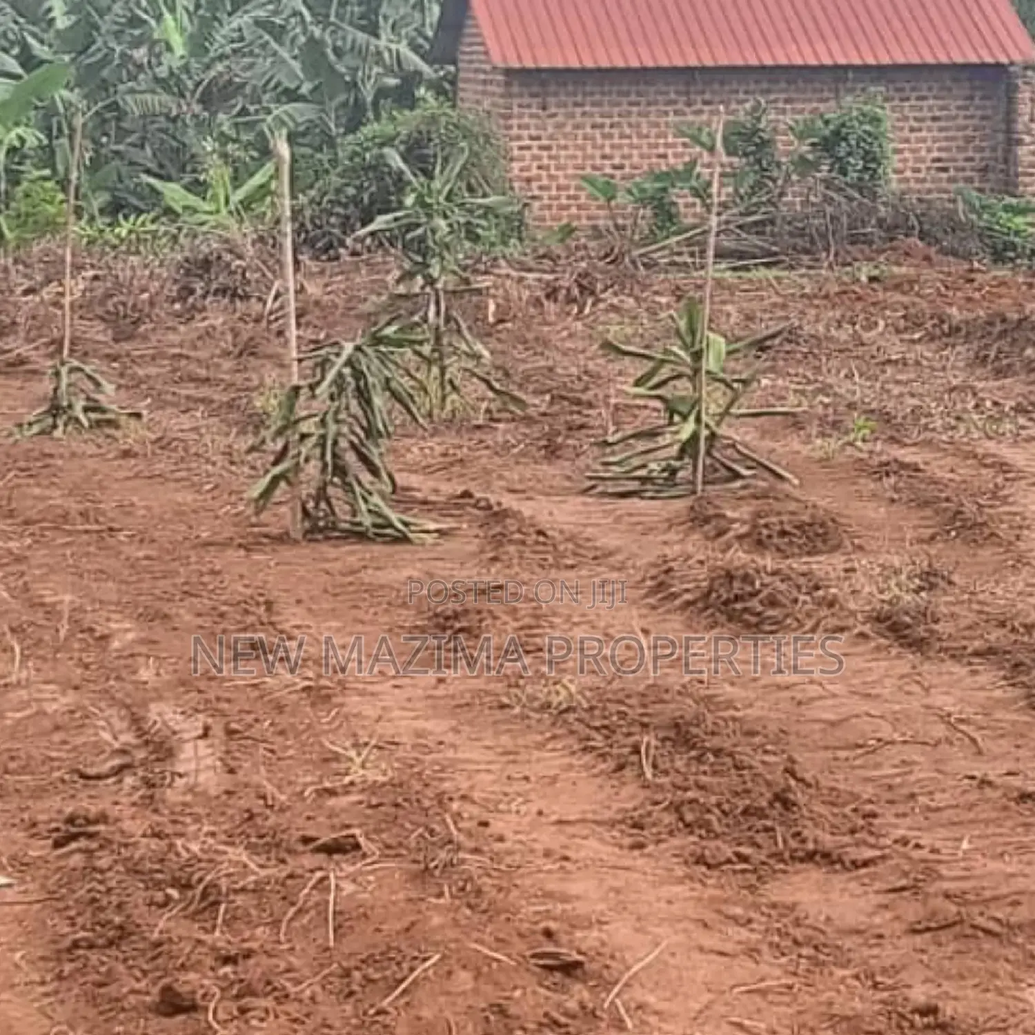 Affordable Plots On Quicksale In The Heart Of Matuga Kiwebwa