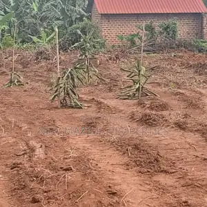 Affordable Plots On Quicksale In The Heart Of Matuga Kiwebwa