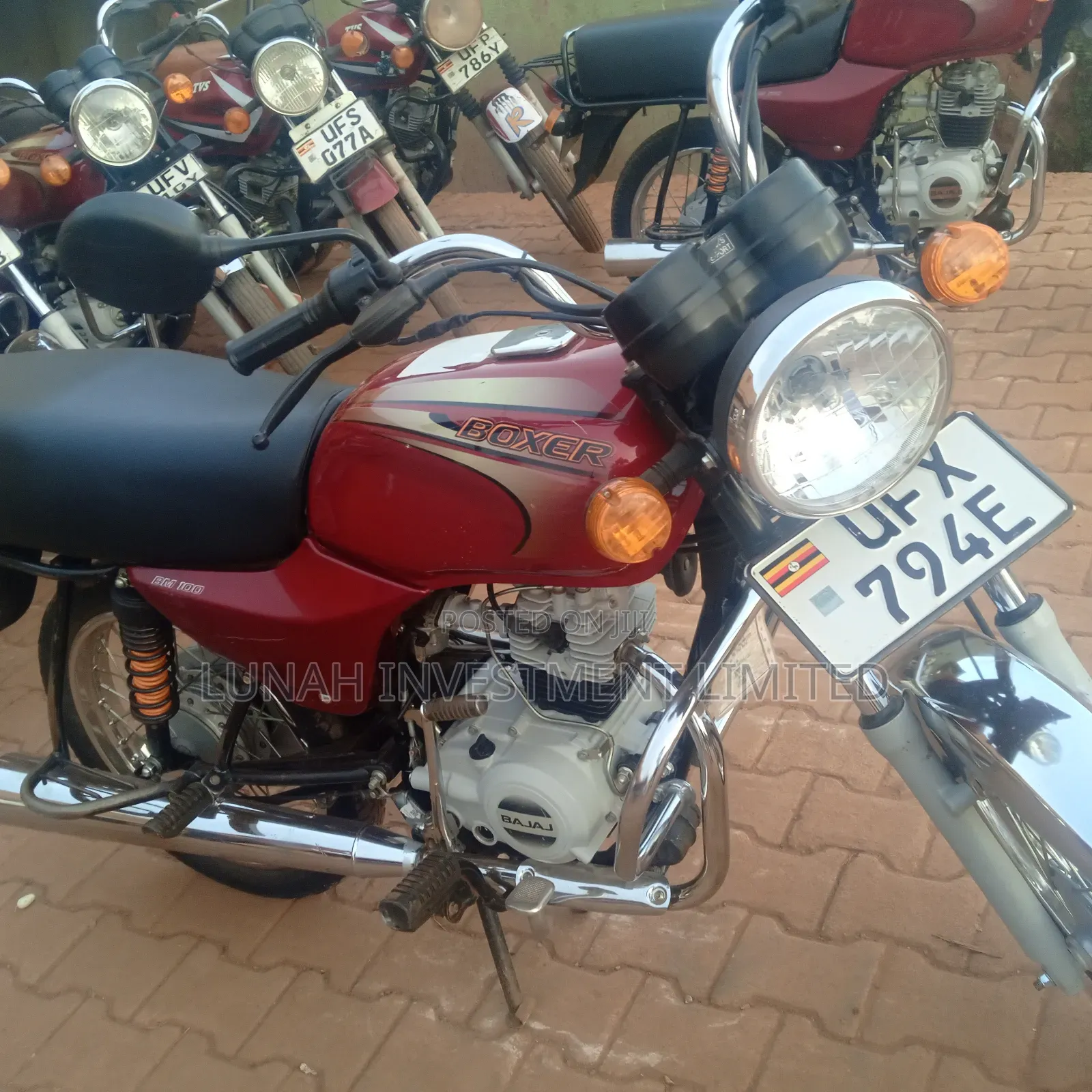 Bajaj Boxer 100 2024 Red