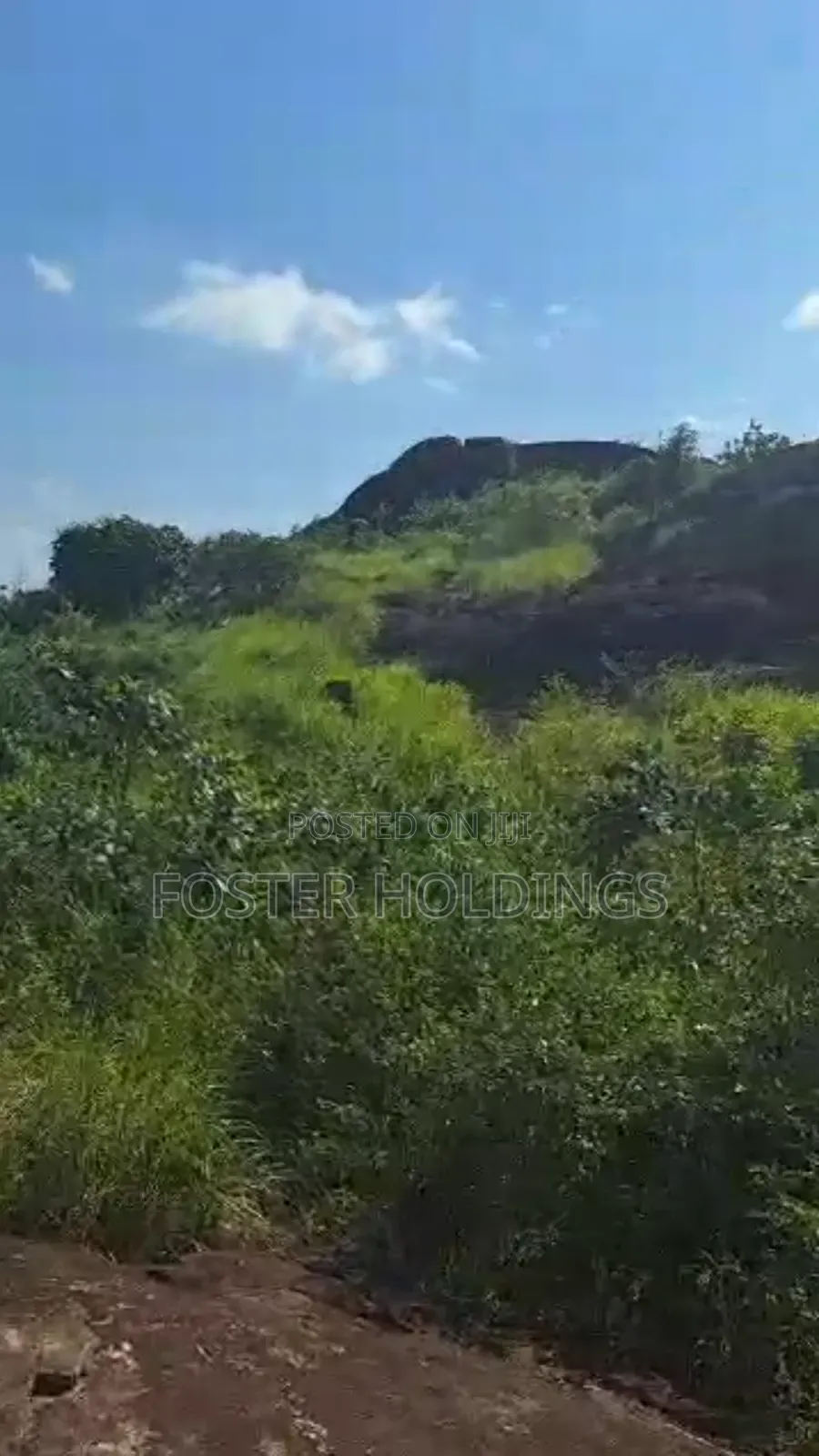 Quarry Land