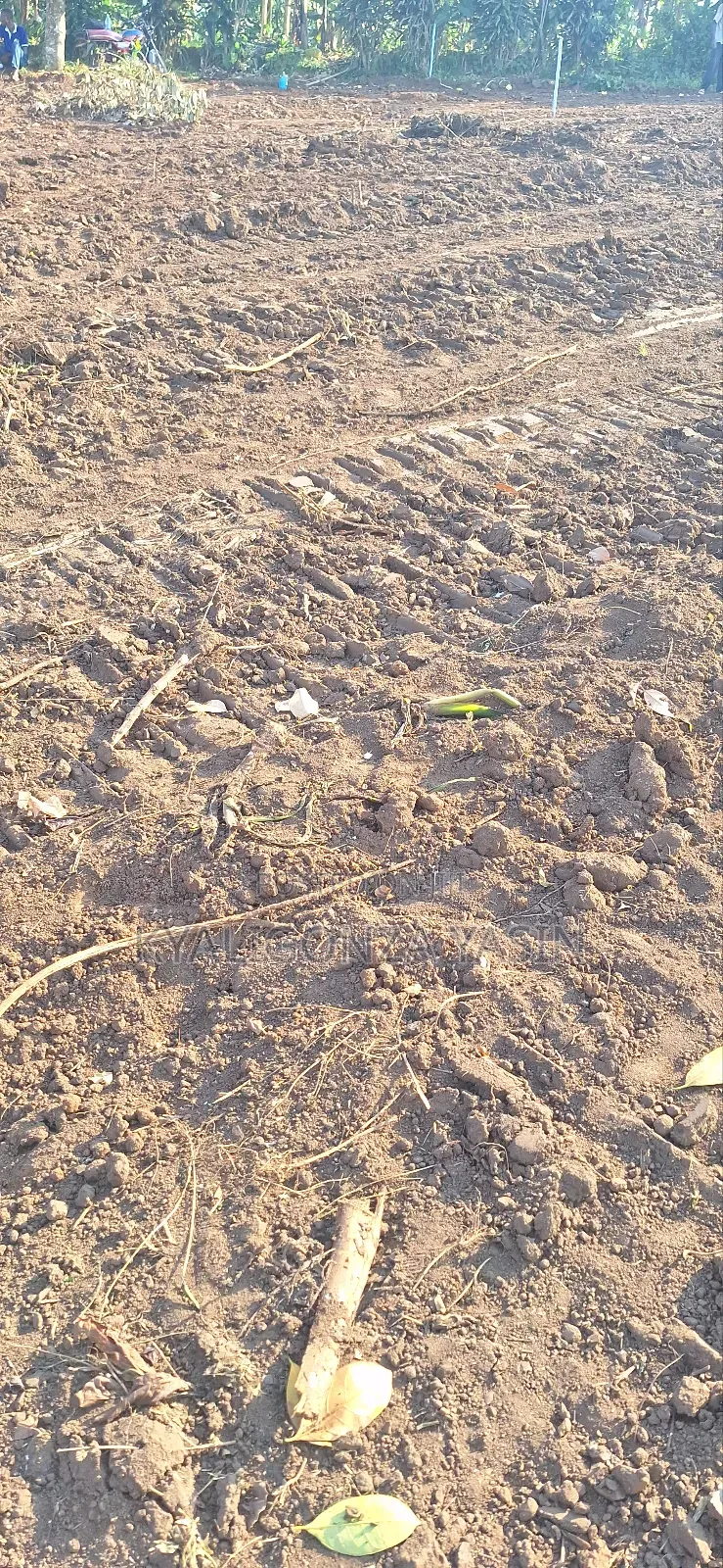 For Sale on Hoima Road in Kakiri Land & Plots for Sale, Kyaligonza