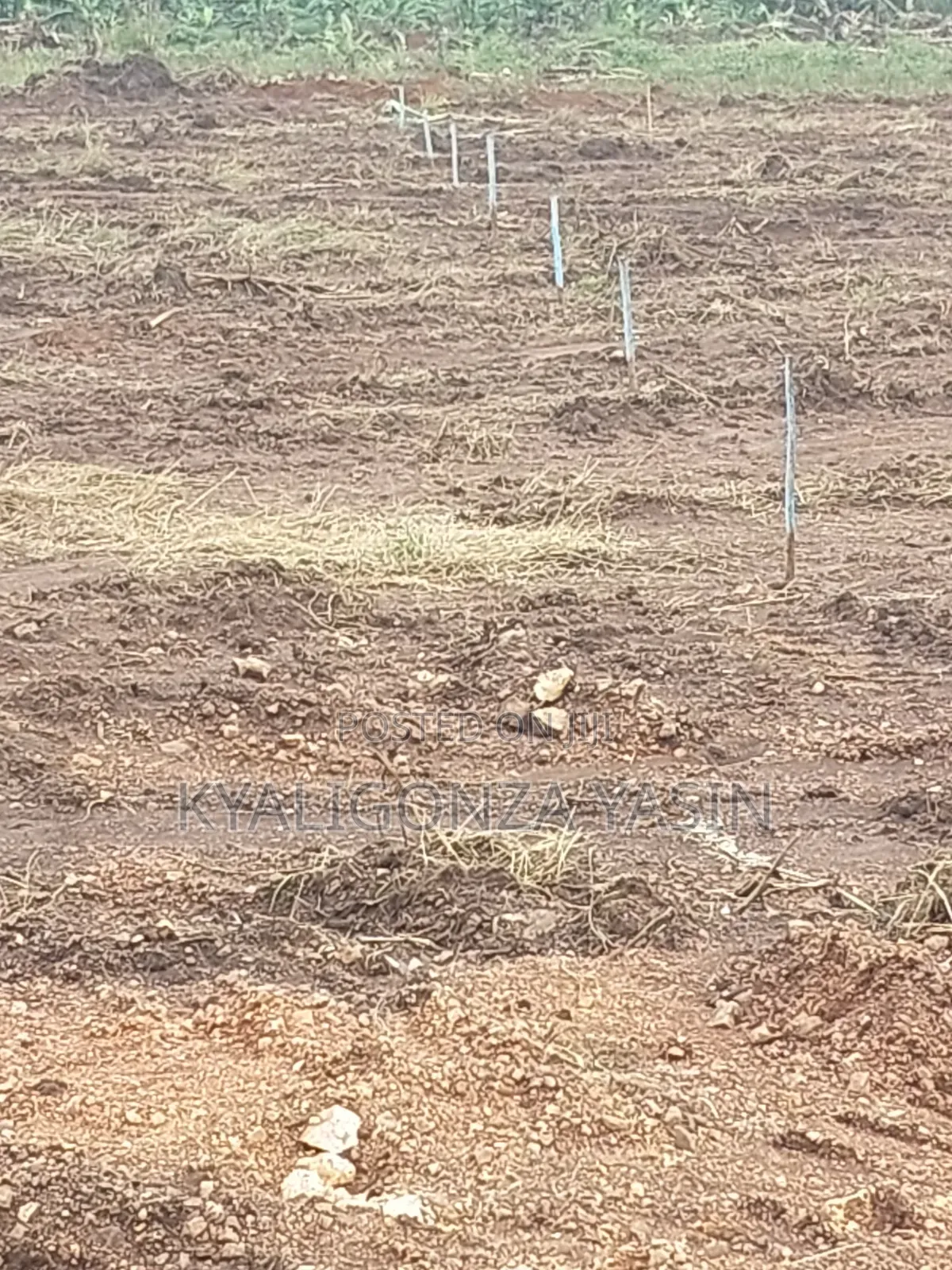 For Sale on Hoima Road