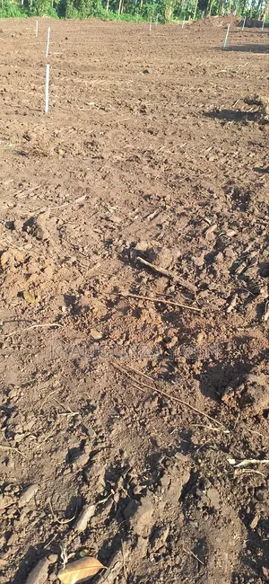 Cheap Plots Ol Land