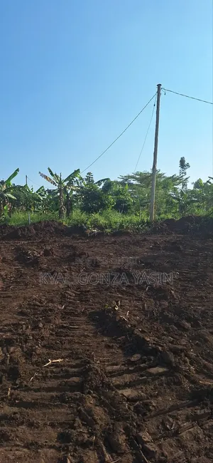 Cheap Plots Ol Land