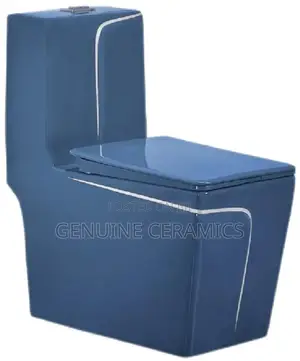 Blue Silver Strip Toilet
