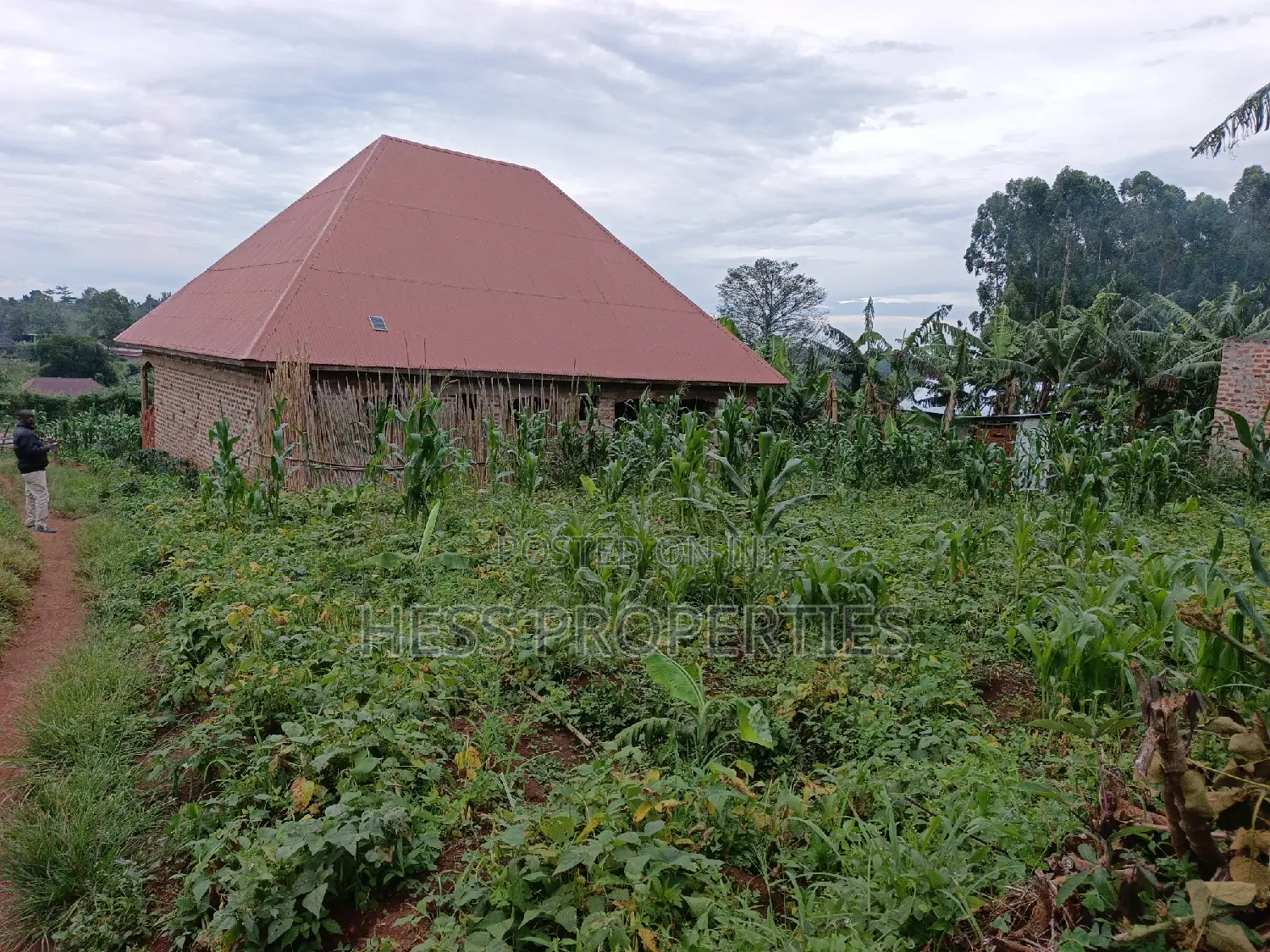 Commercial Property on Sale Located Kyenjojo Town Council