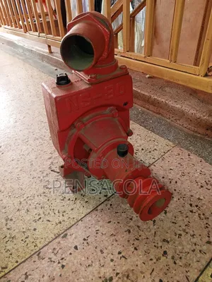 3" High Pressure Palley Pump (NS-80)