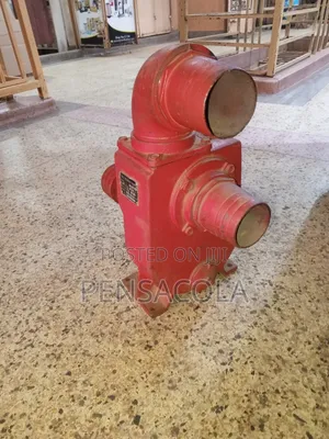 4" High Pressure Palley Water Pump (Ns-100)