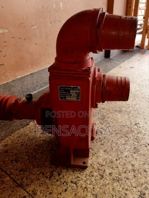 4" High Pressure Palley Water Pump (Ns-100)