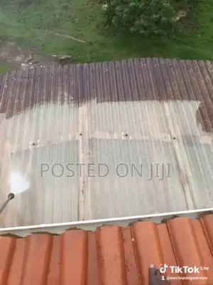 Roof Cleaning Services