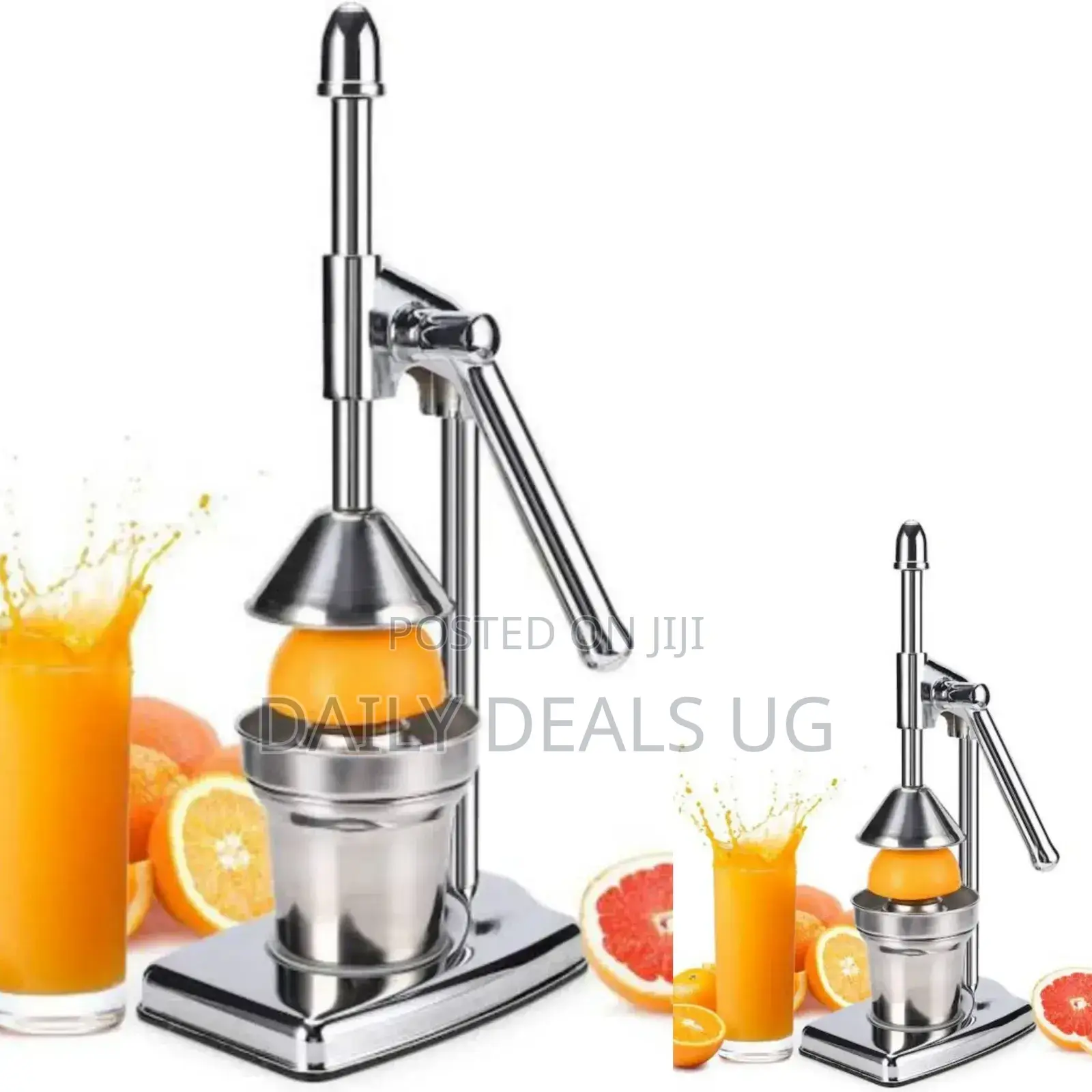 Stainless Juice Press