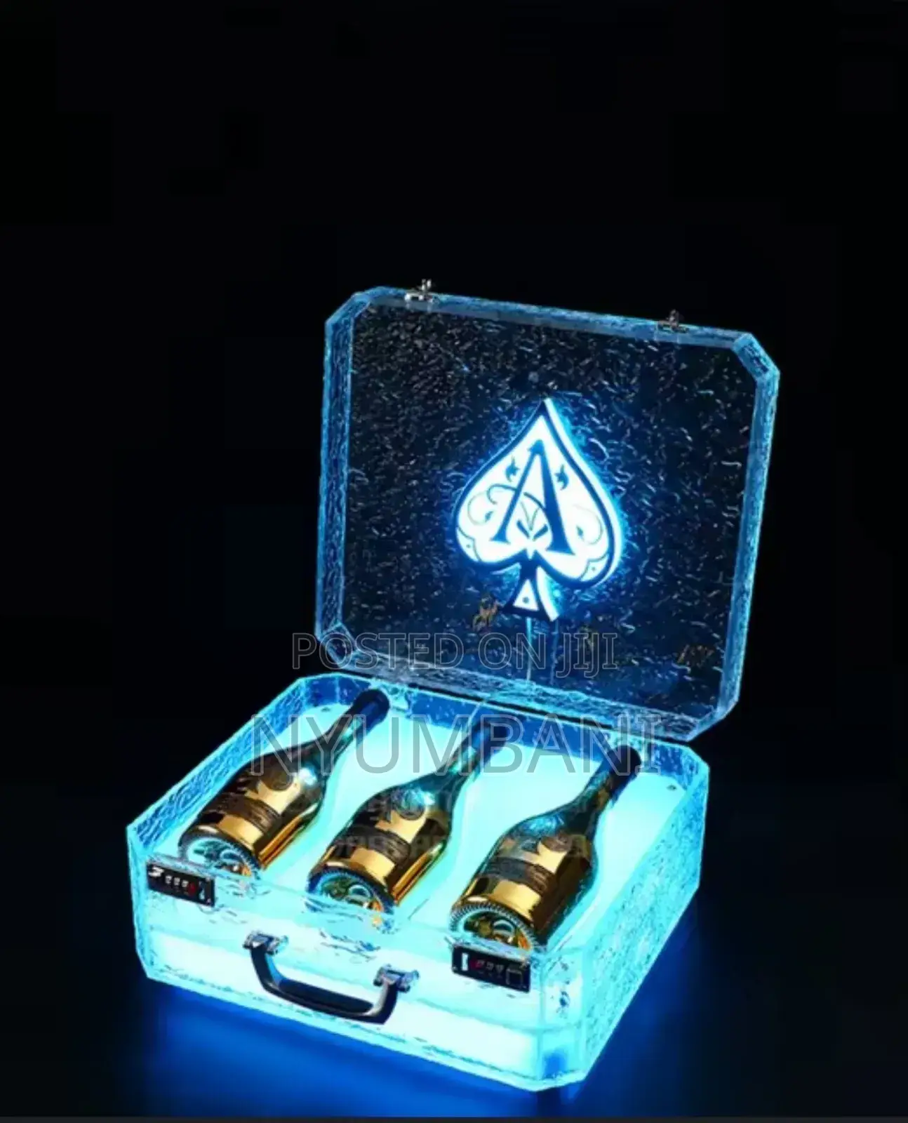 Wine and Champagne Bottle Carrier With Lights