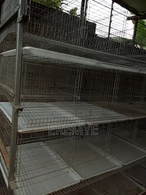 Chicken Cages for Layer