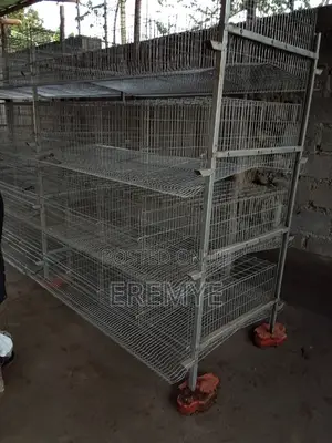 Chicken Cages for Layer