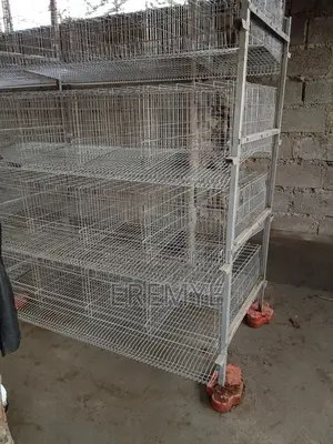 Chicken Cages for Layer