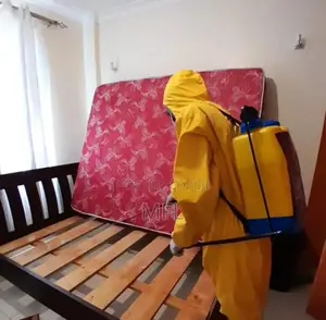 Bedbugs Control - Effective