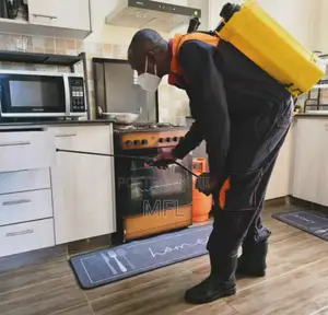 Cockroach Fumigation in Kitchen