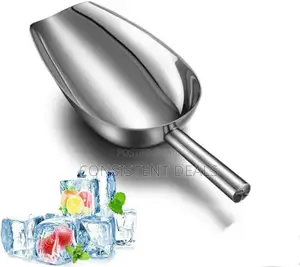 Stainless Steel Ice Scoop