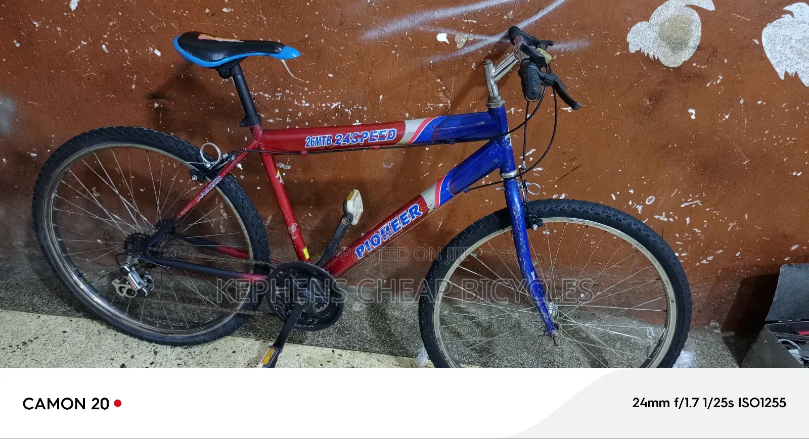 Bikes for Adults