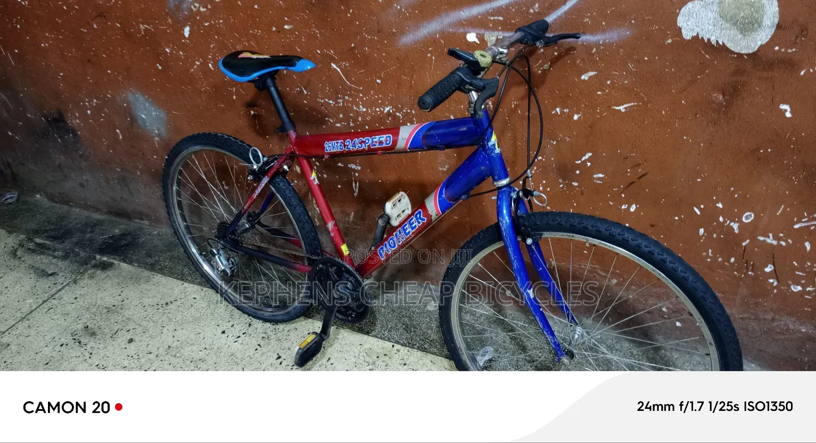 Bikes for Adults