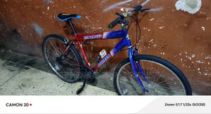 Bikes for Adults