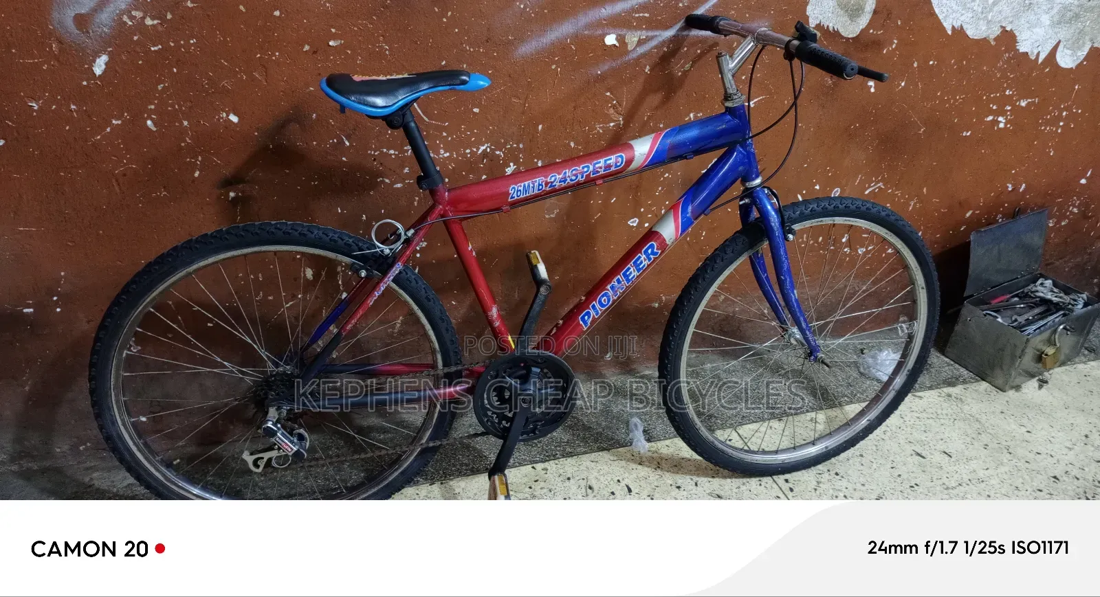 Bikes for Adults