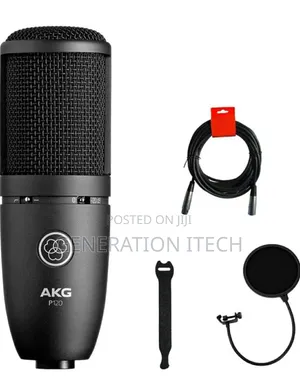 AKG P120 Cardioid Condenser Microphone (Black) With XLR
