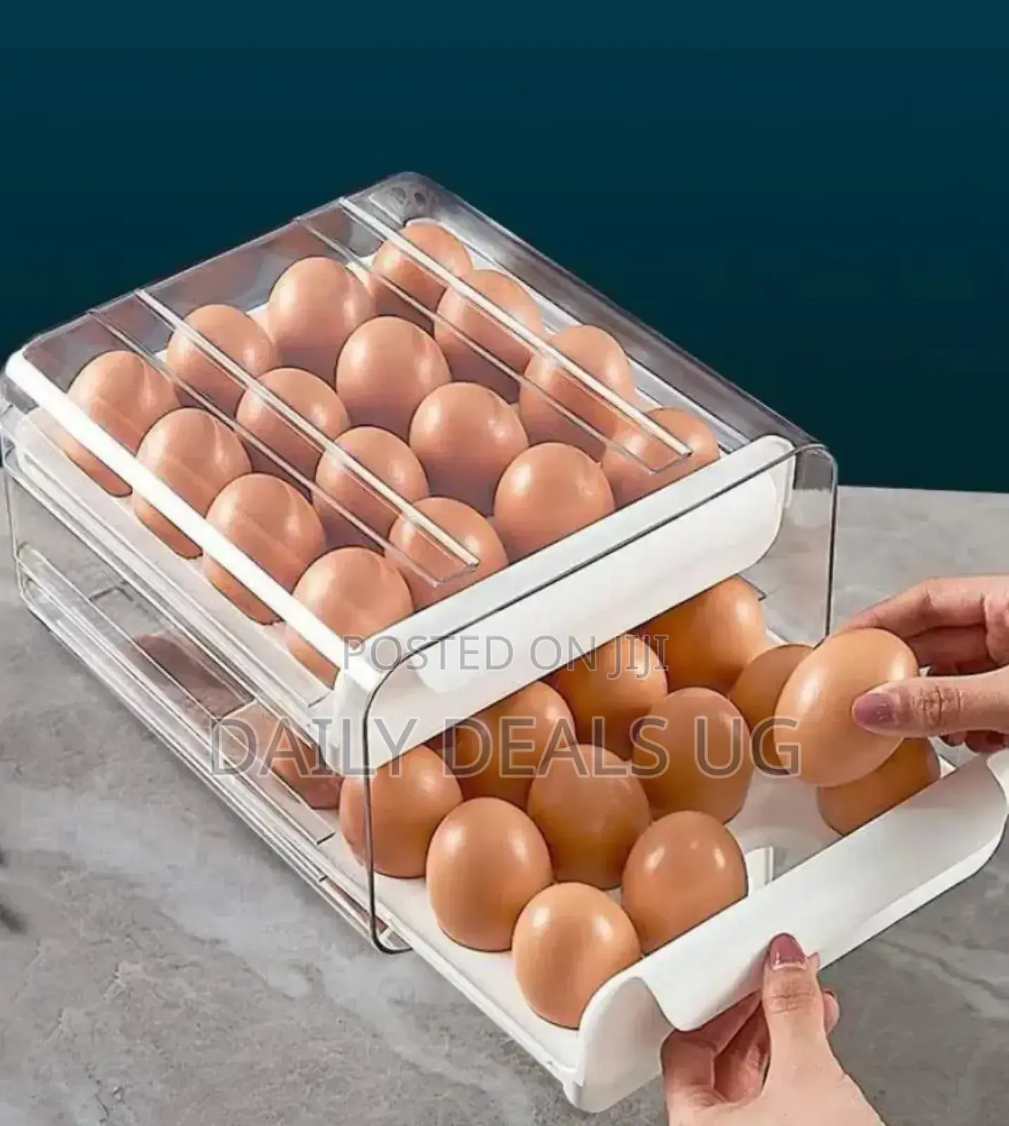Chicken Egg Storage Drawer