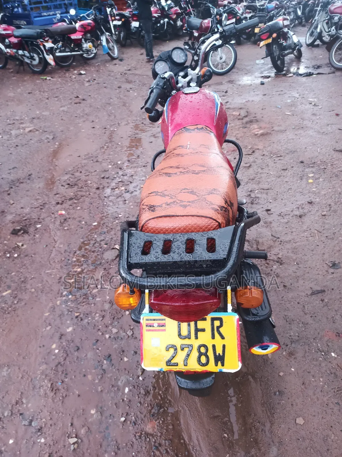 Bajaj CT 110X 2022 Red