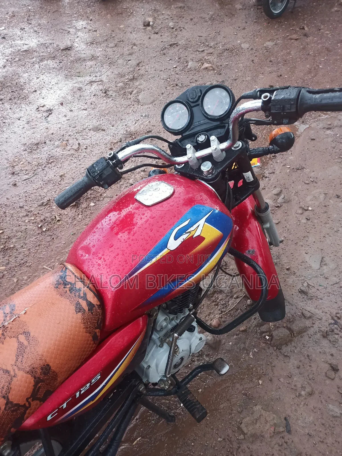 Bajaj CT 110X 2022 Red