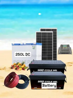 600w Solar System Full Kit With 250L DC/Solar Deep Freezer