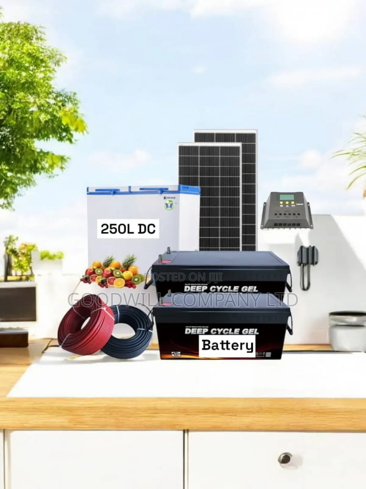 250 Liters DC/Solar Deep Freezer 600w Solar Full Kit