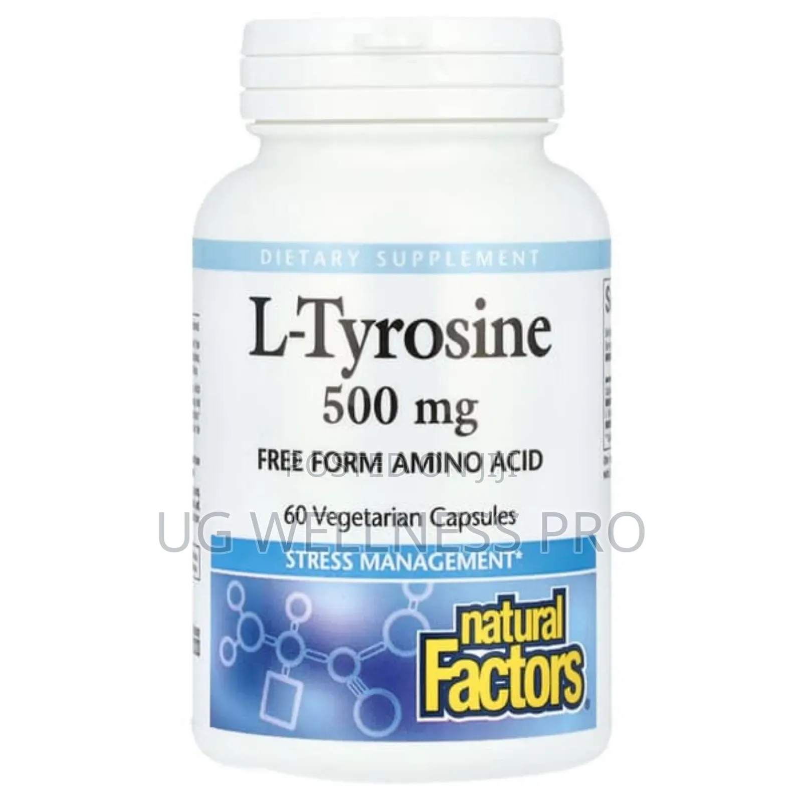 Natural Factors, L-Tyrosine, 1,000 Mg, 60 Vegetarian Capsu