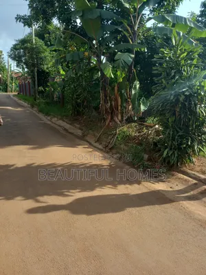 Kira Mamerito Road Prime Plot for Quicksale