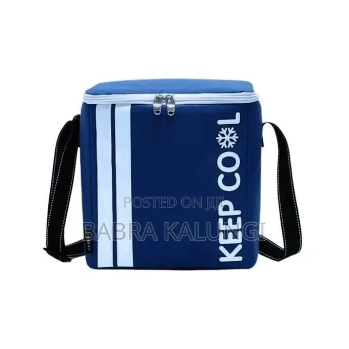 10L Portable Thermal Insulated Travel Basket Cooler Bag