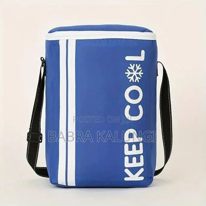 15L Portable Thermal Insulated Travel Basket Cooler Bag
