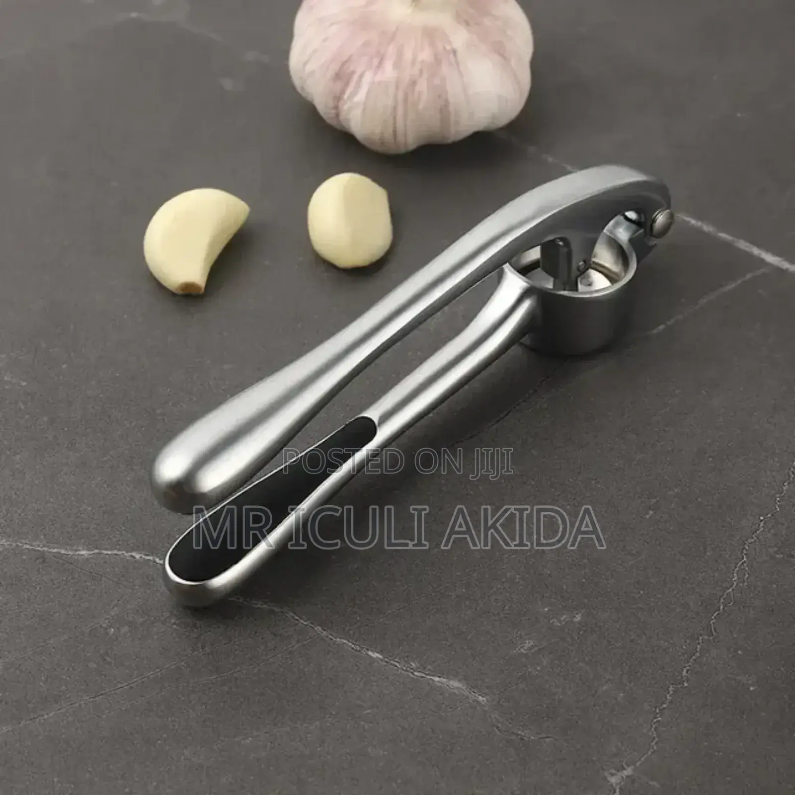 Professional Stainless Steel Garlic Press Mincer