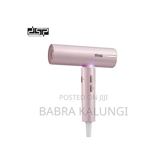 DSP 1600W Magnetic Attraction Hair Care Mini