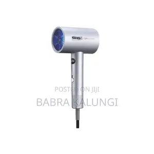 DSP Portable Hair Dryer Nanoe Water Ion Hair Care