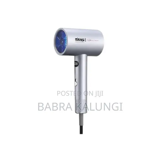 DSP Portable Hair Dryer Nanoe Water Ion Hair Care