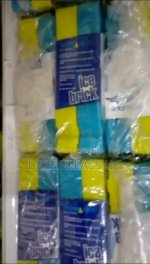 Plastic Ice Bricks