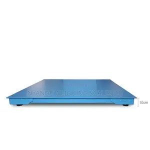 Gram Platform Floor Weighing Scales A12 4tone Weighing Scale