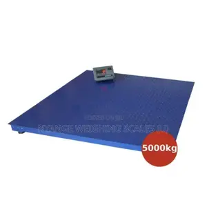 A12e Digital Weigh Scales Industrial Floor Weighing Scales