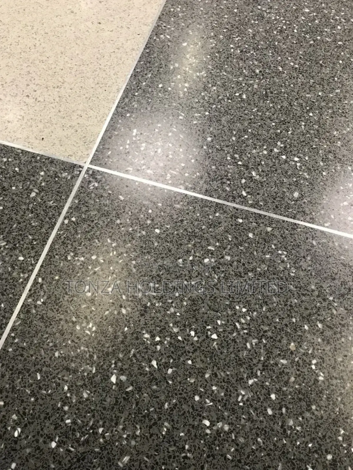 Polished Terrazzo 2
