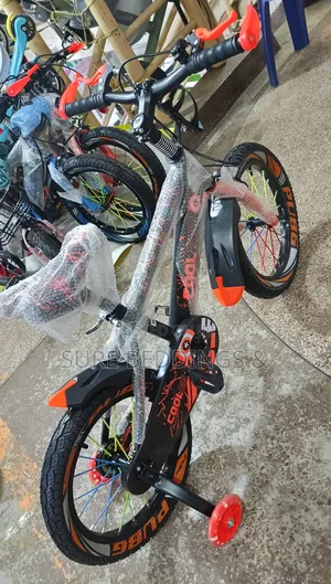 Heavy Duty Size 16 Bicycle