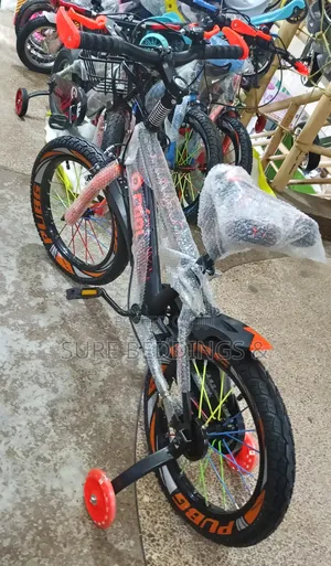Heavy Duty Size 16 Bicycle