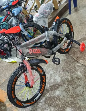 Heavy Duty Size 16 Bicycle