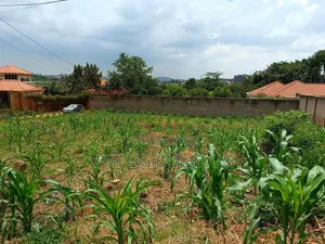 Plot on Sale Enclosed in a Wall Fence (100x100ft ) in Kira