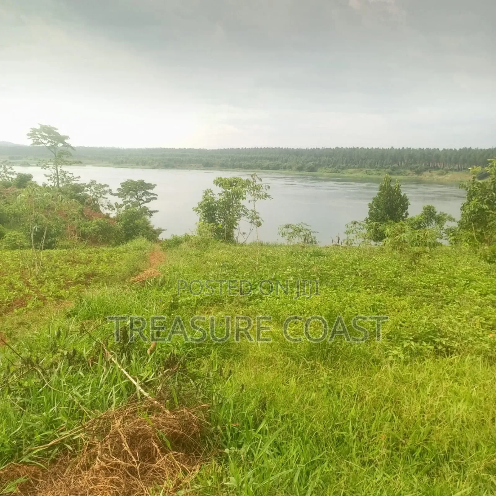 1.5 Acres Touching River Nile in Jinja in Jinja Land & Plots for Sale