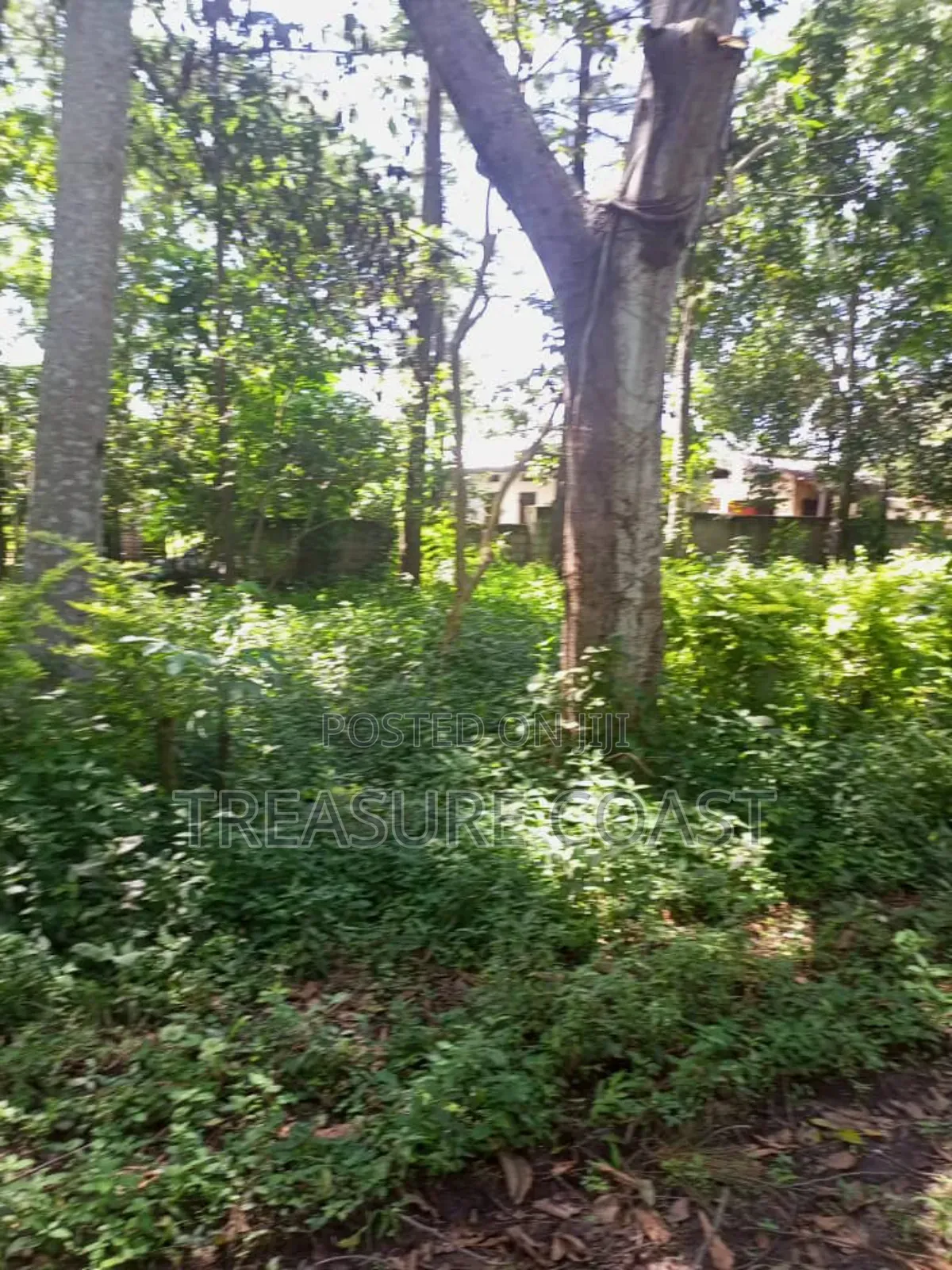 12 Acres of Riverside Land at Makwanzi Jinja in Jinja Land & Plots